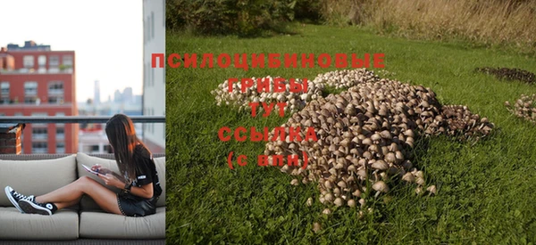 spice Алзамай