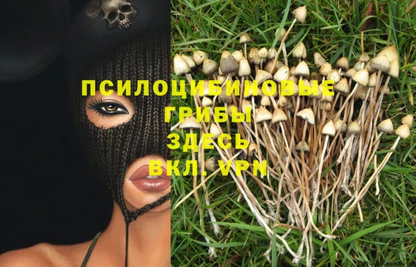spice Алзамай