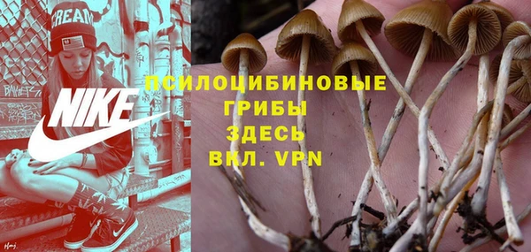spice Алзамай