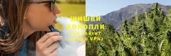 spice Алзамай