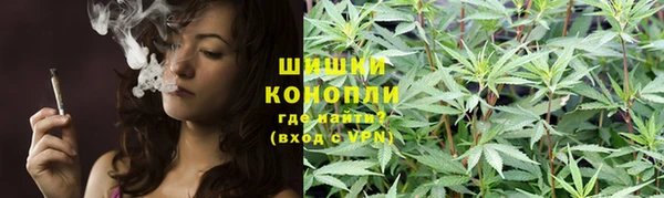 spice Алзамай